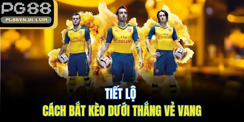 Tiết lộ cách bắt kèo dưới thắng vẻ vang